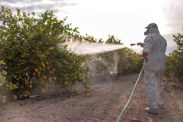 Best Affordable Pest Control Services  in Elkton, KY